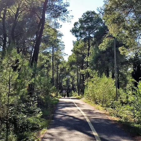 Park Gorica Retreat Center-oasis By Nature * Podgorica