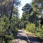 Park Gorica Retreat Center-oasis By Nature * Podgorica