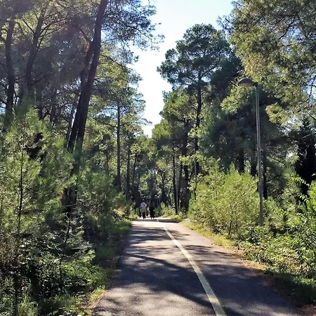 Park Gorica Retreat Center-oasis By Nature * Podgorica