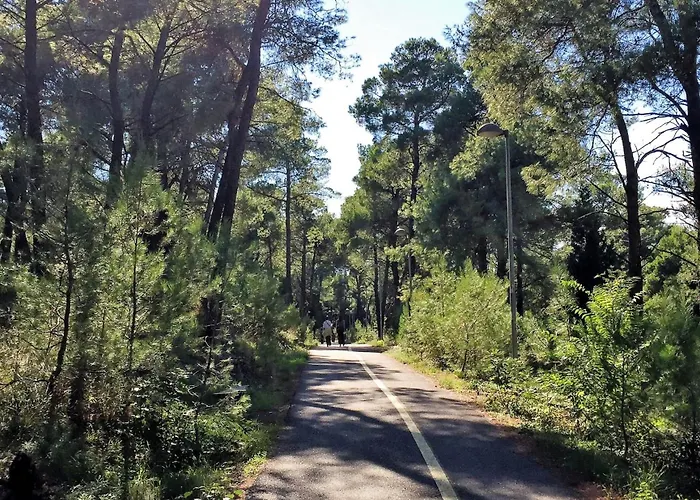 Park Gorica Retreat Center-oasis By Nature * Podgorica